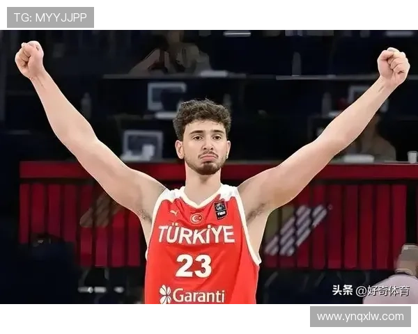 媒体人点评约基奇全力出击申京遭遇惨痛教训难以承受